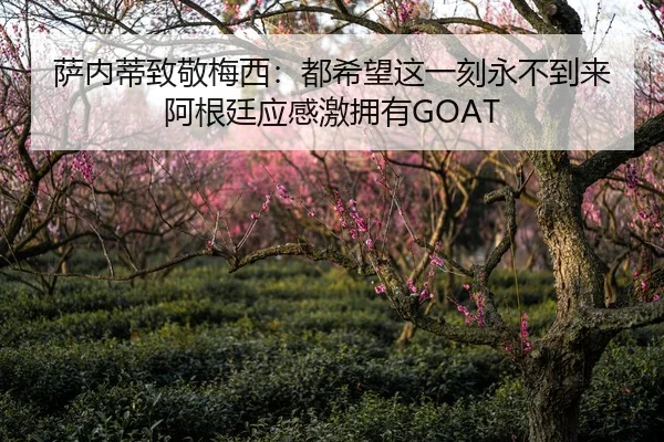 萨内蒂致敬梅西：都希望这一刻永不到来 阿根廷应感激拥有GOAT